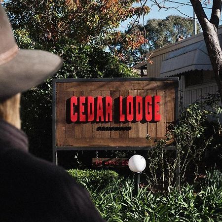 Cedar Lodge Braidwood Ngoại thất bức ảnh